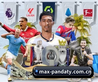 max-pandaty.com.cn APP